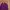Casual Bomber jacket Wanita purple red photo 1