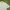 FootJoy Pattern Polo Light Grey size L fit to XL photo 6