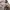 Stussy Vintage Y2K Formal Shirt Pria Tan