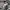Vintage Streetwear Short Pria white black photo 7