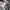 Vintage Streetwear Short Pria white black photo 8