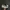 VANS Emo Indie Sneakers Pria white black photo 1