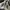 VANS Emo Indie Sneakers Pria white black photo 5