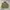 Rare Archive Y2k Grunge emo Zara Tactical Military Studded photo 1