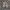 Vest utility tassel not coloumbia photo 1