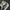 VANS Emo Indie Sneakers Pria white black photo 4