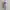 Dress Lilac super Sexy, bodycon aksen photo 1
