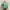 H&M Casual Shirt Wanita green photo 2
