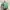 H&M Casual Shirt Wanita Green