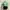 H&M Casual Shirt Wanita green photo 1