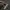 Converse Emo Indie Sneakers Pria white brown photo 5