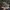 Converse Emo Indie Sneakers Pria white brown photo 1