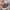 National geographic shoulder bag photo 7