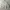 [PRELOVED] BLOUSE UNITED photo 1
