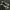 Converse Emo Indie Sneakers Pria white black photo 3