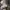 Converse Emo Indie Sneakers Pria white black photo 8