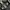 Converse Emo Indie Sneakers Pria white black photo 5