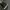 Converse Emo Indie Sneakers Pria white black photo 6