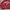 Hoodie oversized harvard Awave photo 6