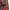 Uniqlo Streetwear T-shirt Pria red black photo 4