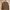 J&M Jiemei| Korean Cardi Teddy Brown Cotton Knit