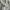 Uniqlo Casual Formal shirt Pria white photo 5