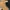 Timberland Streetwear Y2K Boots Pria brown photo 8