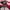 702D4N photo 5