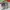 Christian Louboutin Spike Accents Suede Sneakers photo 4