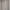 Hd Dickies Sherpa photo 5
