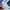 Dickies Skater Casual pants Pria navy photo 4