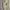 strap fendi short top handle authentic photo 3