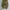 Dark green barel pants by GU photo 3