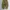 Dark green barel pants by GU photo 1