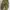 Dark green barel pants by GU photo 2