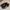 Adidas Casual Sneakers Wanita black photo 1