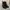 Dr. Martens Goth Emo Boots Wanita black photo 1