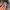 Dickies Canvas Carpenter Bk Red Patch photo 6