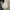 New Balance Rainbow Running Jacket photo 1