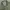 Uniqlo Vintage Casual Harrington jacket Pria green gray photo 3