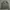 Uniqlo Vintage Casual Harrington jacket Pria green gray photo 1