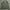 Uniqlo Vintage Casual Harrington Jacket Pria Green Gray