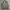 Uniqlo Vintage Casual Harrington jacket Pria green gray photo 8