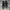 Converse Casual Sneakers Pria black photo 1