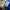 The North Face Casual Trench coat Pria blue yellow photo 5