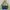 The North Face Casual Trench Coat Pria Blue Yellow