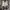 Adidas Sportswear Sneakers Pria white photo 4