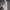 Adidas Sportswear Sneakers Pria white photo 1