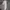 Adidas Sportswear Sneakers Pria white photo 2