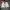 Adidas Sportswear Sneakers Pria white photo 3